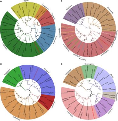 Sequencing, Expression, and Functional Analyses of Four Genes Related to Fatty Acid Biosynthesis During the Diapause Process in the Female Ladybird, Coccinella septempunctata L.